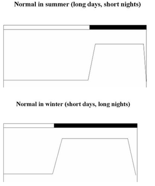 Illustration for article titled Why does winter make you so SAD?